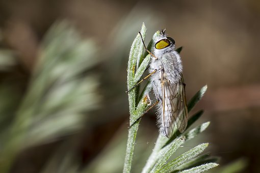 初一的孩子厭學(xué)不寫作業(yè)家長怎么辦