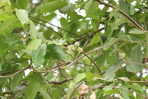 初中文化媽媽培養出作文小王子