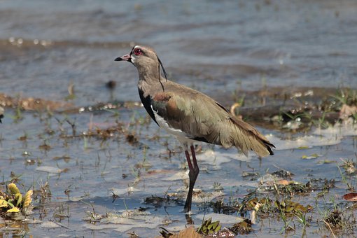 ���������������Pԇ���t ��ͨ������Ӱ�