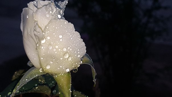 7歲叛逆期的各種表現