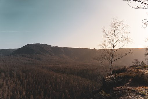 ���ӌW(xu��)Ӣ�Z(y��)����Ч��