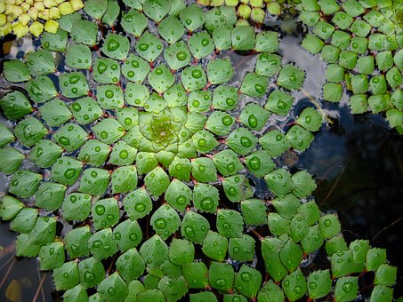 《展示華夏文化的魅力》教案示例一