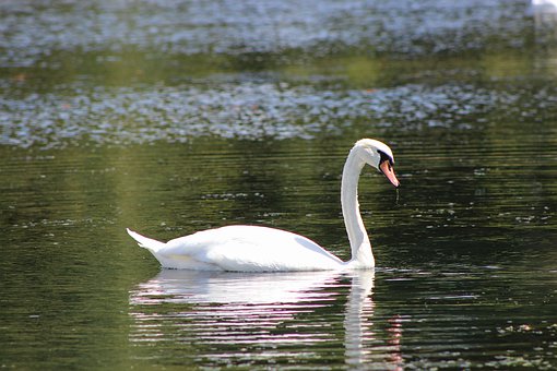 北京中考生8月4日至5日補錄