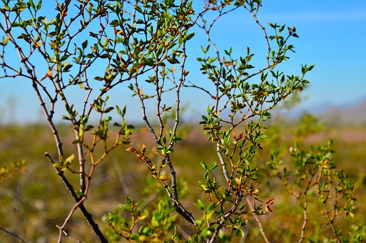 過來人送給畢業生的12條寶貴經驗!