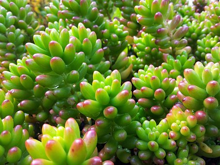 10位英語名家教你英語學習方法