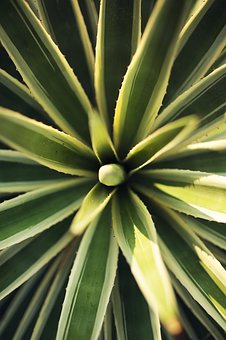 �׽̾W(w��ng)���ƽ̎����߿�Ӣ�Z���}�r�g�����c����