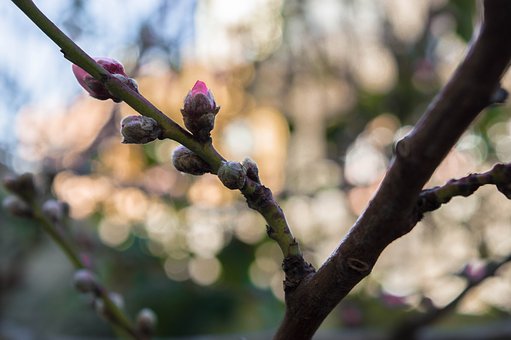 四川美術學院介紹