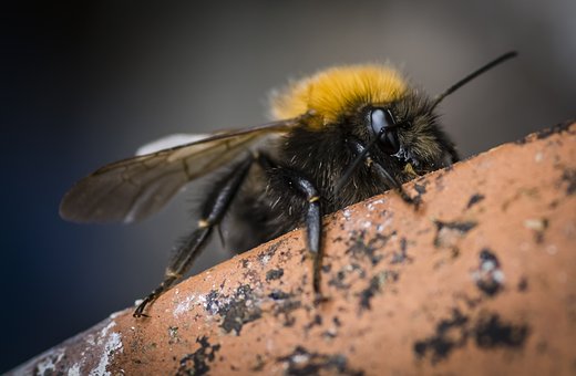 給孩子正確的引導(dǎo),制止亂摔東西行為