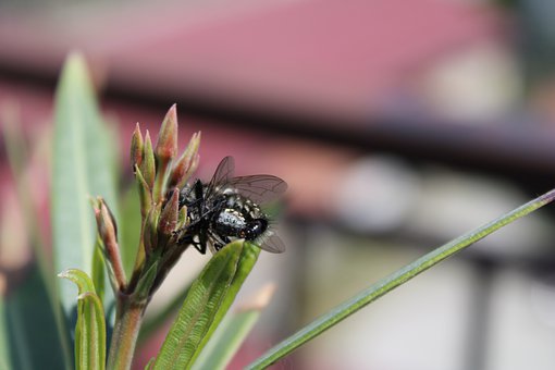 專家解讀08年各地高考作文:體現(xiàn)今后命題趨勢