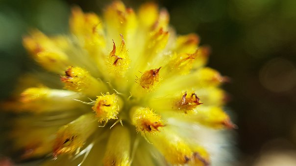 如何讓作文小白突飛猛進
