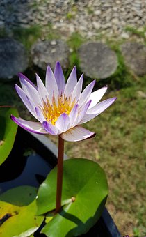 上海應屆高校畢業生目前有2.3萬未就業