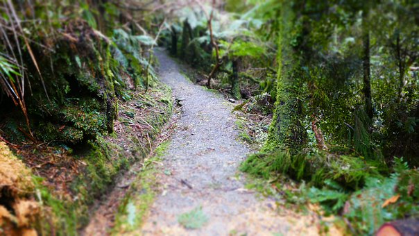 應該如何培養寶寶動腦興趣?