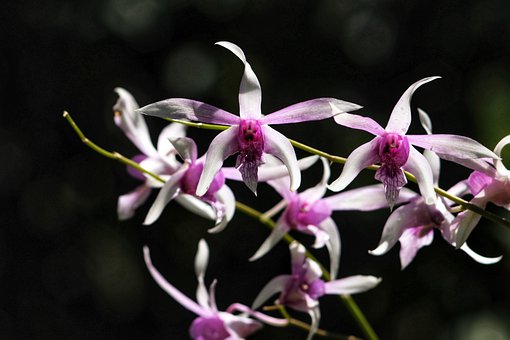 如何提升孩子的注意力