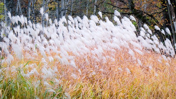 家長必看:孩子高考失利怎么辦?5招做好心理疏導