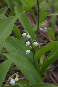 ���ÿ��E����Ȥ�����~׃�͔�