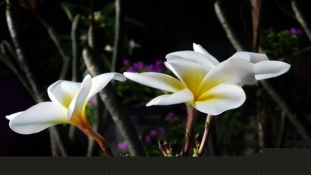 成功大學(xué)生的家教必勝法則