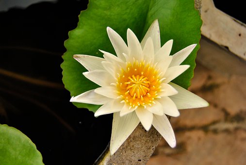 北京中招錄取結束 三成中考生進示范高中