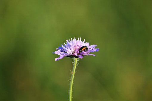 �����|�ǅ^2011-2012�W��ȵ�һ�W�ڸ���Ӣ�Z��ĩԇ�}����