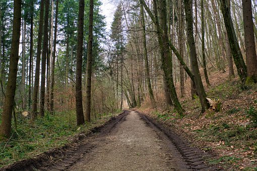 托福攻略:寫作分數總是提不上來,到底如何是好?