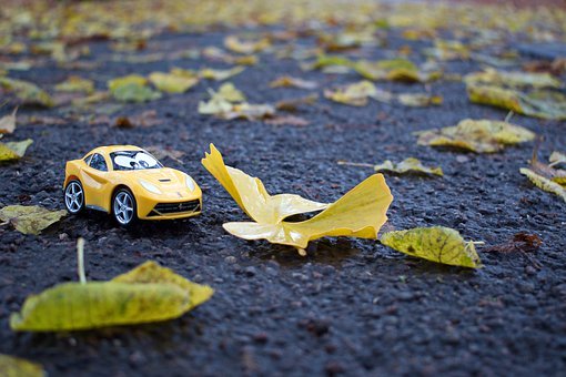 2009��С�Z�N���ڽy(t��ng)����ǰ�����ȡ