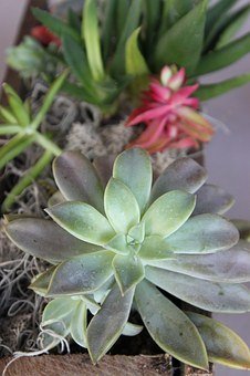 老師打罵孩子父母該怎么做