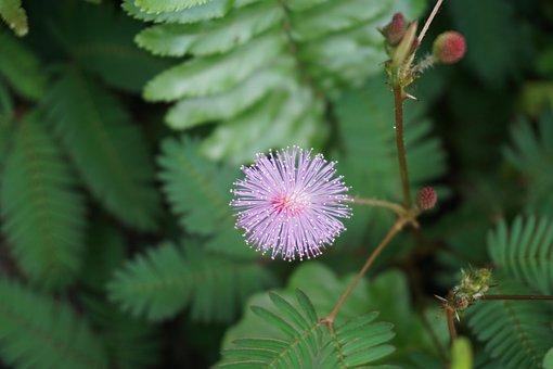 一張寒假計劃表背后的成長密碼:如何讓孩子的每一天都充滿意義