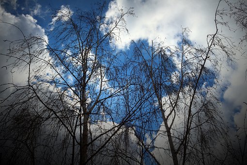 中考的挑戰(zhàn)與應對策略