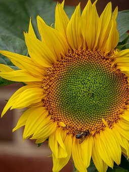 父母憂孩子寒假生壞習慣 怎樣防患于未然?