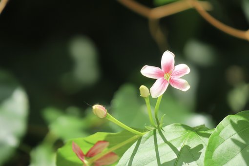 輟學打架:對學生成長和未來的負面影響
