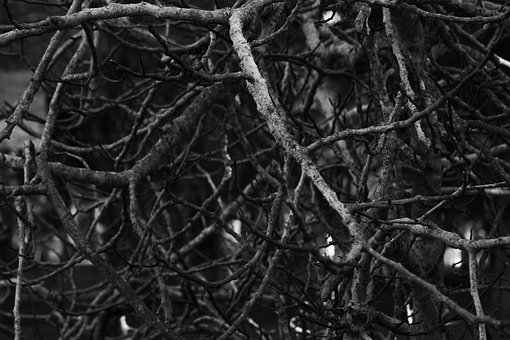 2010��߿�������ʮ��俼Ҫ�c(di��n)�����}Ӗ(x��n)��