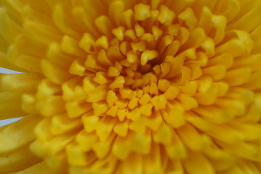 想成為一名搶手的家教老師?這些技能你必須得會