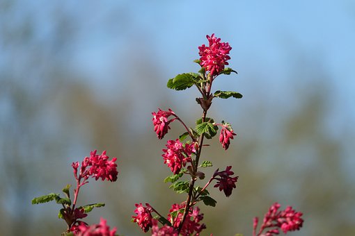 ���ӌW�f�KԒ��ԭ������_��������