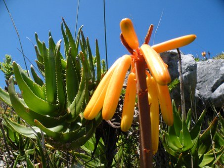 初中孩子要買名牌鞋怎么拒絕