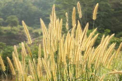 �����ČW���������A���n�I���ظ�����ԓ���ƽ��W��