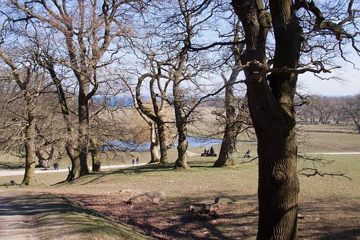 高考加分政策調(diào)整 裸考時代還遠(yuǎn)嗎