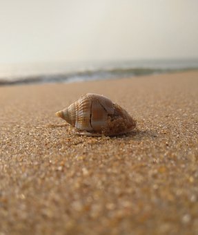 兒子沉迷游戲脾氣暴躁怎么辦