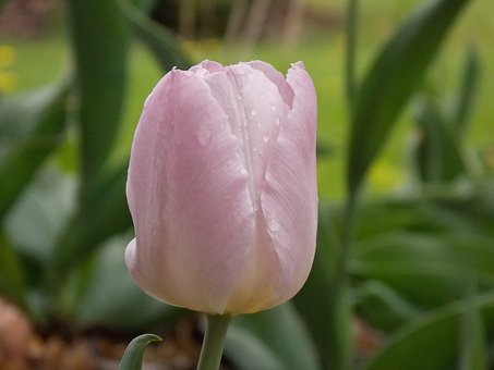 孩子成績不好厭學可以吃什么藥