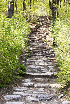 初中孩子對上學(xué)不感興趣怎么辦