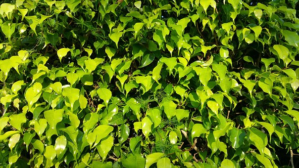 ���ӳɿ�������ô���ώ���ͨ