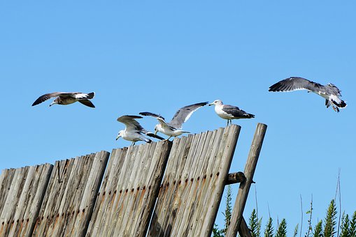 中國美術學院介紹