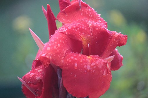 һ(sh)W(xu)،W(xu)ؿ21(g)֪R(sh)c(din)㶼(f)(x)ȫˆ᣿