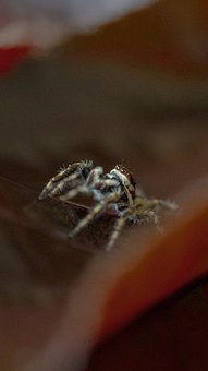 高中孩子討厭媽媽該怎么辦