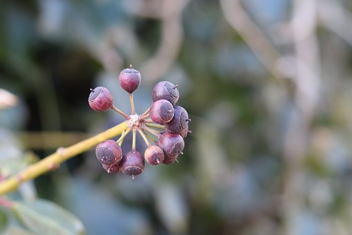 孩子叛逆期的管理:如何與孩子建立有效溝通