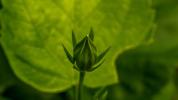 中考體育測試考前最關鍵要素