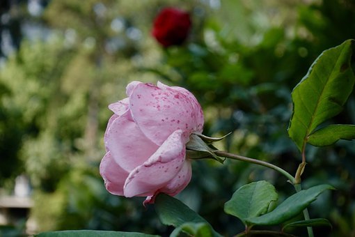 一步一步向前走——初中數學學習方法淺談