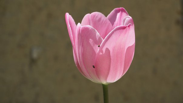 ���ҽ��h���п����x������ �Č��H��r���l