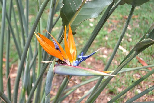 ���B���ӄ��X˼�����dȤ�c����