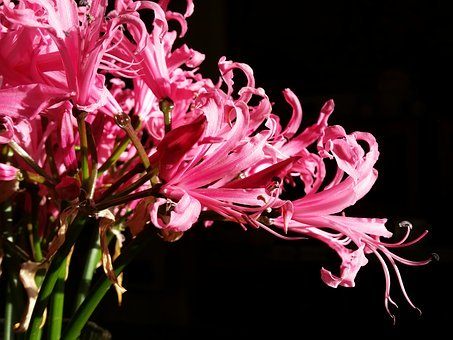 女兒沉迷手機怎么辦