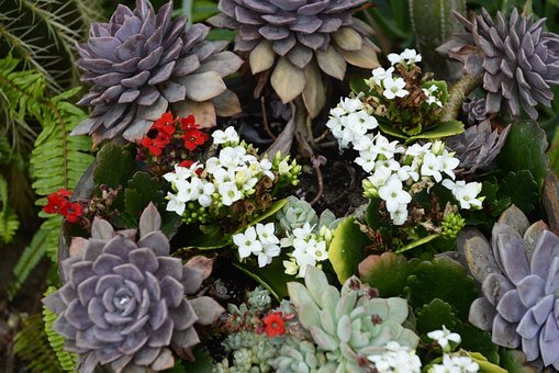 往屆理科高考狀元經驗談:應考“六要六忌”