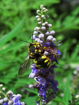 如何幫助孩子正確面對(duì)早戀